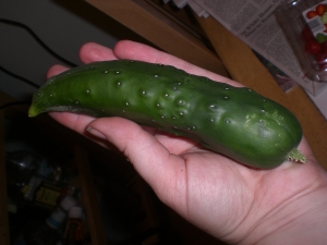 First harvest - cucumber 5.6 oz